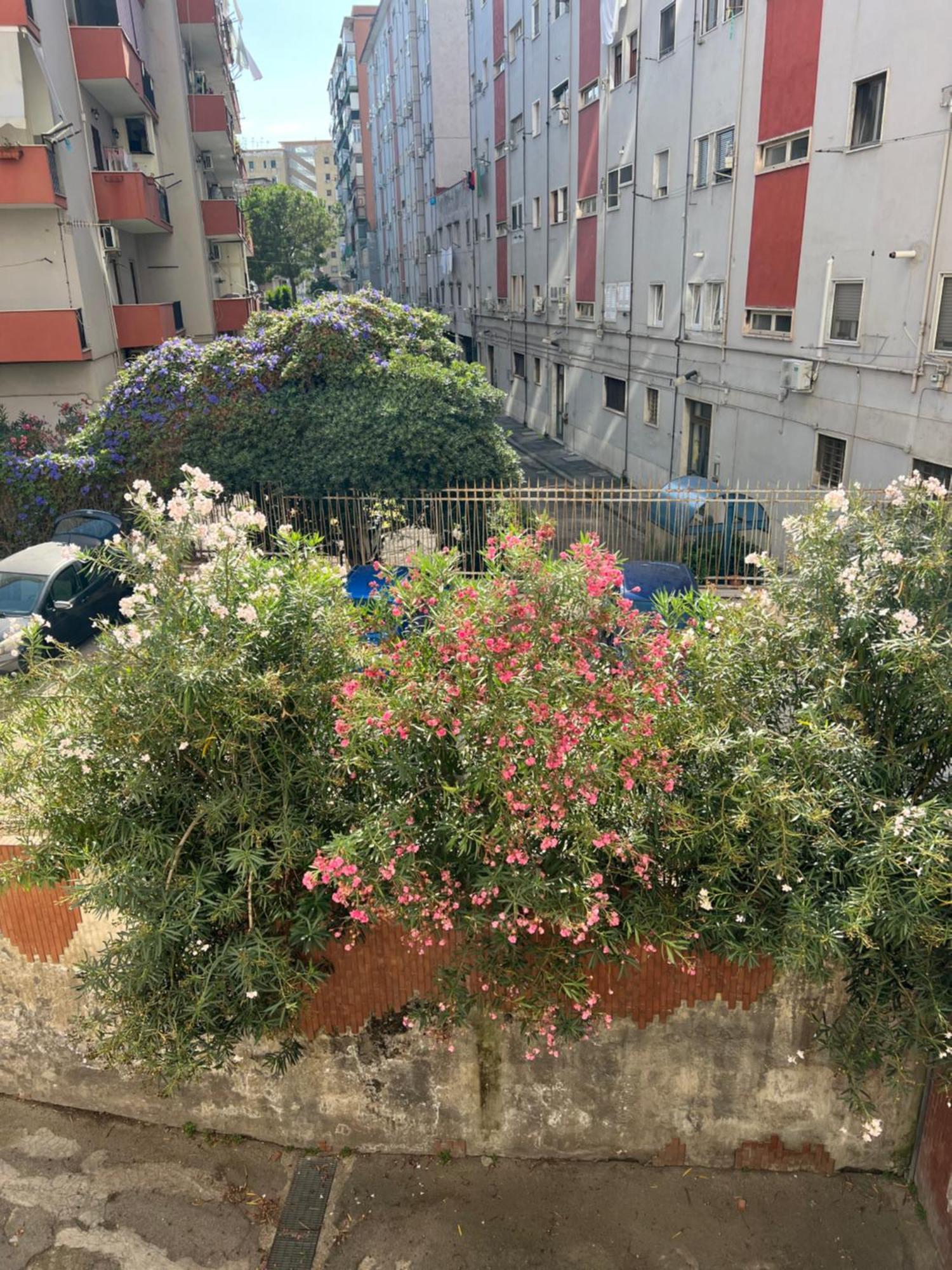 La Casa Di Gastone Napoli